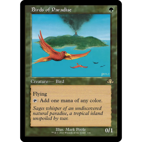 Birds of Paradise